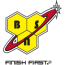 Логотип бренда BSN