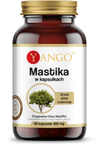 Yango Mastic 480 mg