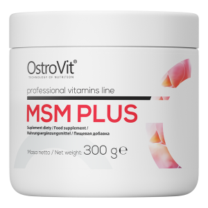 OstroVit MSM Plus