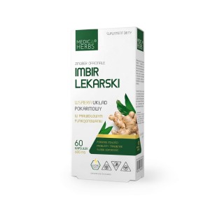 Medica Herbs Ginger 600 mg