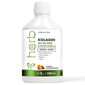 HERB Liquid Collagen ALL IN ONE 10.000 mg