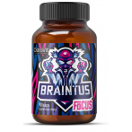 OstroVit Braintus Focus