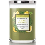 Colonial-Candle® Scented Candle Cedar Citrus