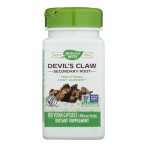 Nature's Way Devil's Claw Secondary Root