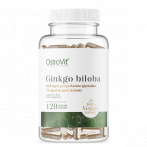 OstroVit Ginkgo Biloba Vege 120 mg