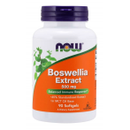 Now Foods Boswellia Extract 500 mg