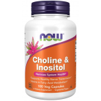 Now Foods Choline & Inositol 500 mg