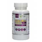 WISH Pharmaceutical Gotu Kola Extract 500 mg