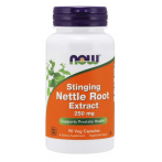 Now Foods Stinging Nettle Root Extract 250 mg