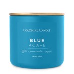 Colonial-Candle® Scented Candle Blue Agave