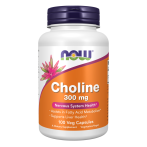 Now Foods Choline 300 mg