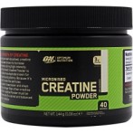 Optimum Nutrition Micronized Creatine Powder Kreatīns
