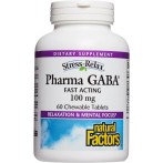 Natural Factors Pharma GABA 100 mg
