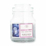 Purple River Scented Candle Magical Forest