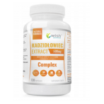 WISH Pharmaceutical Boswellia serrata  Extract Complex 500 mg