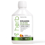 HERB Liquid Collagen ALL IN ONE 10.000 mg