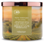 Colonial-Candle® Scented Candle Napa Vineyard