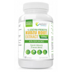 WISH Pharmaceutical Kudzu Root Extract 500 mg